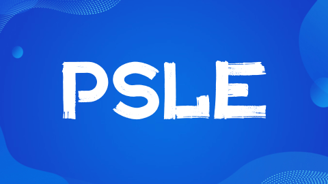 新加坡小六会考（PSLE）全面解析